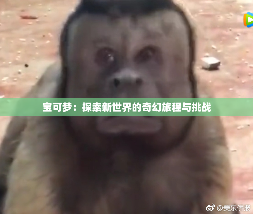 宝可梦：探索新世界的奇幻旅程与挑战