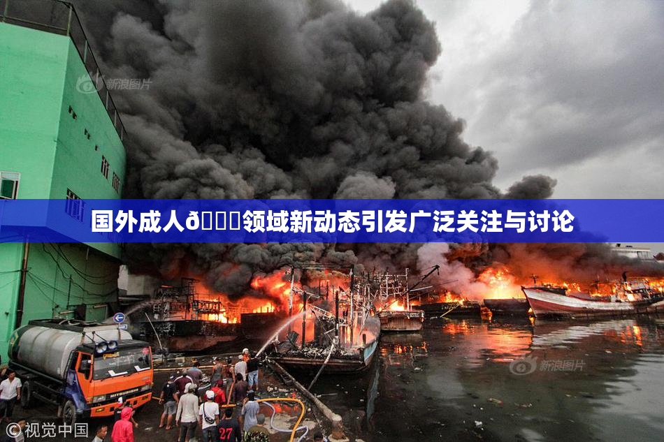 国外成人🔞领域新动态引发广泛关注与讨论