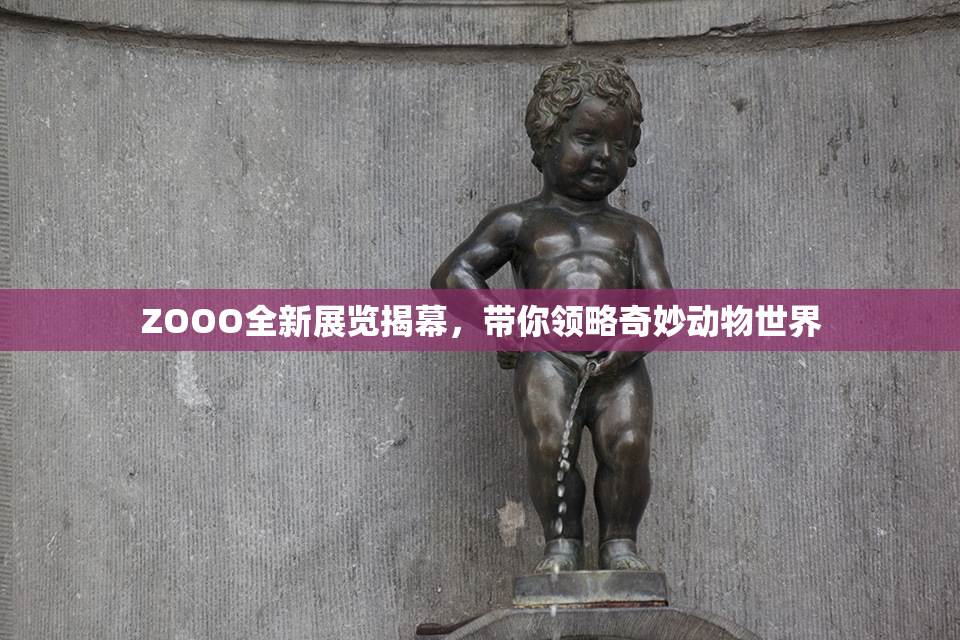 ZOOO全新展览揭幕，带你领略奇妙动物世界