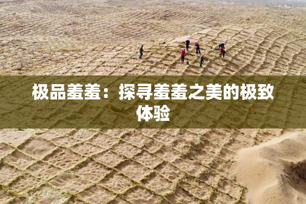 极品羞羞：探寻羞羞之美的极致体验