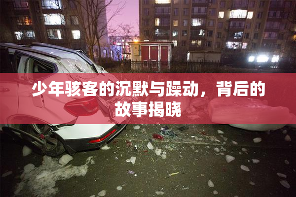 少年骇客的沉默与躁动，背后的故事揭晓