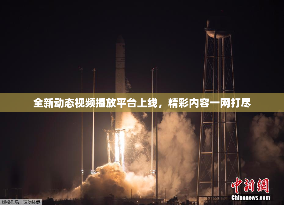 全新动态视频播放平台上线，精彩内容一网打尽