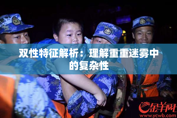 双性特征解析：理解重重迷雾中的复杂性