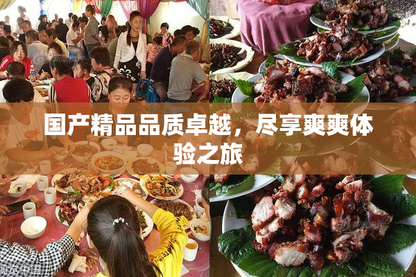 国产精品品质卓越，尽享爽爽体验之旅