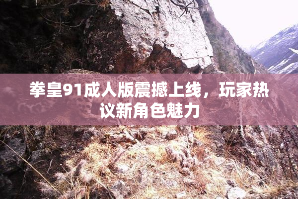 拳皇91成人版震撼上线，玩家热议新角色魅力