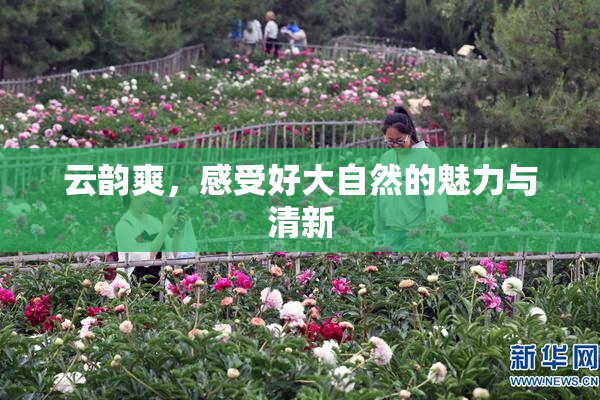 云韵爽，感受好大自然的魅力与清新
