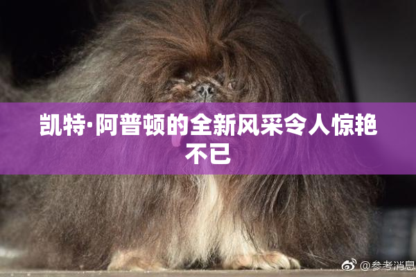 凯特·阿普顿的全新风采令人惊艳不已