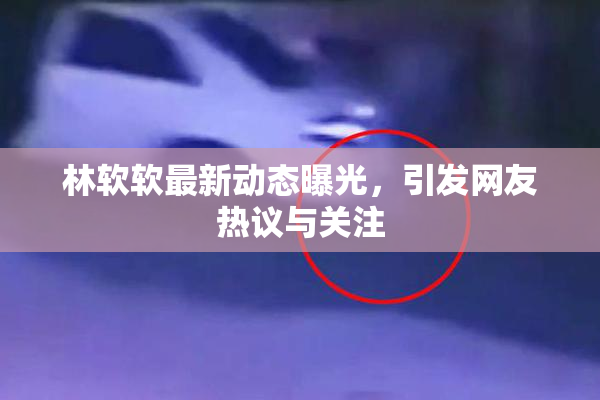 林软软最新动态曝光，引发网友热议与关注