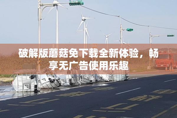 破解版蘑菇免下载全新体验，畅享无广告使用乐趣