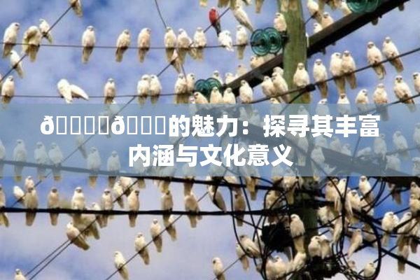 🔞‌🍌的魅力：探寻其丰富内涵与文化意义