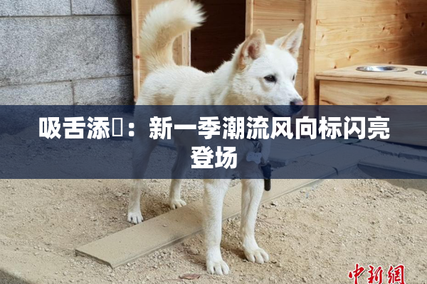吸舌添泬：新一季潮流风向标闪亮登场
