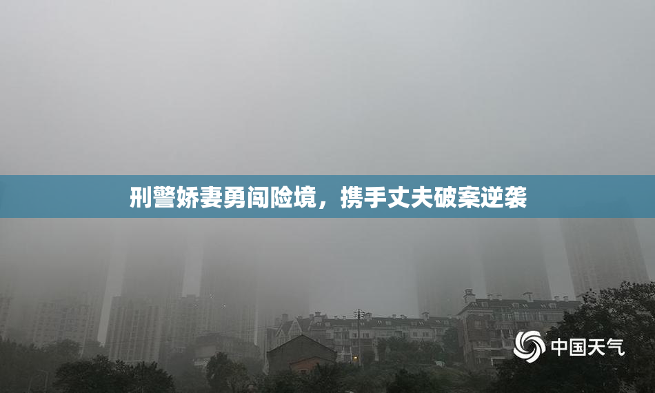 刑警娇妻勇闯险境，携手丈夫破案逆袭