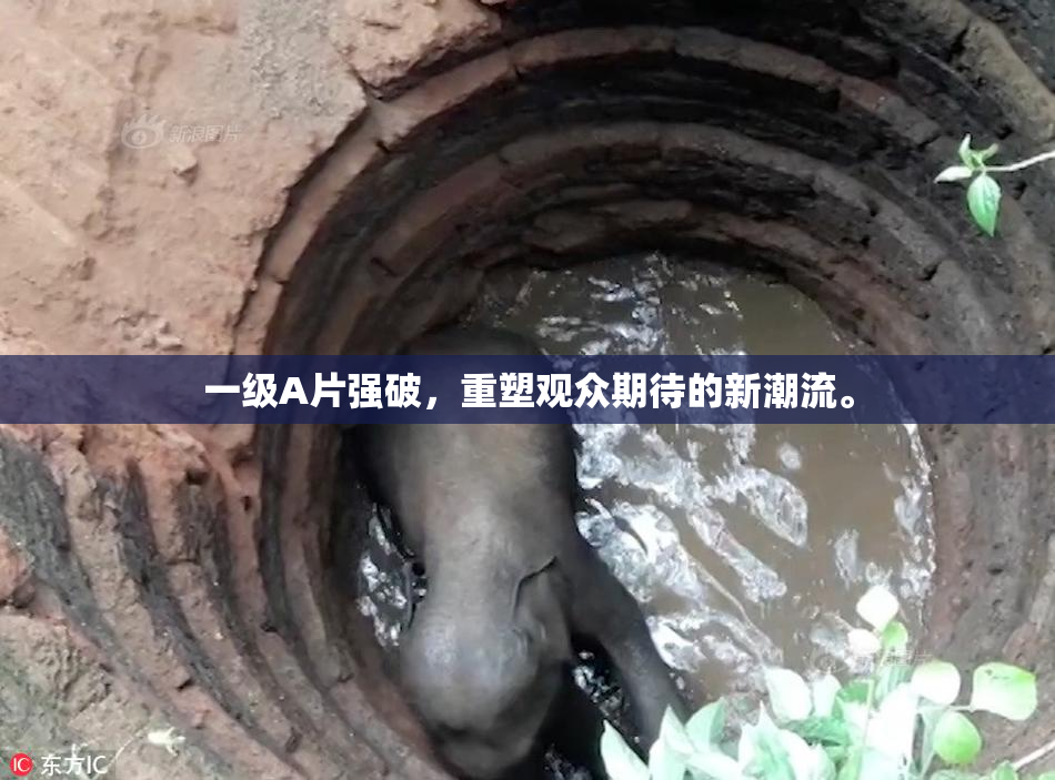 一级A片强破，重塑观众期待的新潮流。