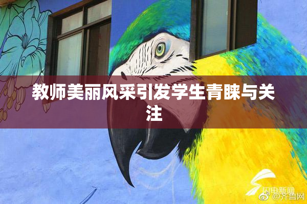教师美丽风采引发学生青睐与关注