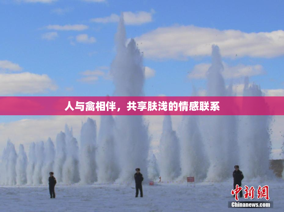 人与禽相伴，共享肤浅的情感联系
