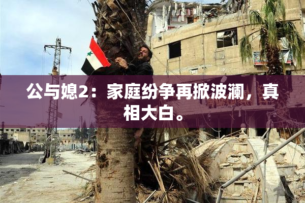 公与媳2：家庭纷争再掀波澜，真相大白。