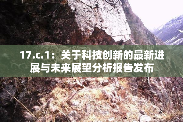 17.c.1：关于科技创新的最新进展与未来展望分析报告发布