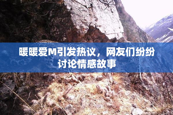 暖暖爱M引发热议，网友们纷纷讨论情感故事
