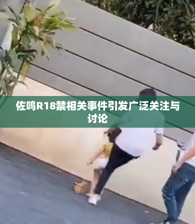 佐鸣R18禁相关事件引发广泛关注与讨论