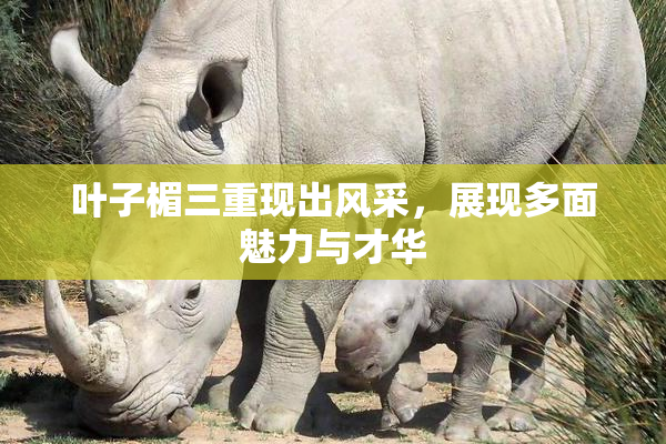 叶子楣三重现出风采，展现多面魅力与才华