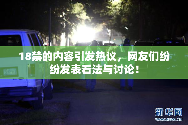18禁的内容引发热议，网友们纷纷发表看法与讨论！