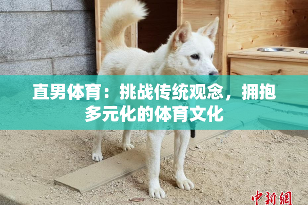 直男体育：挑战传统观念，拥抱多元化的体育文化