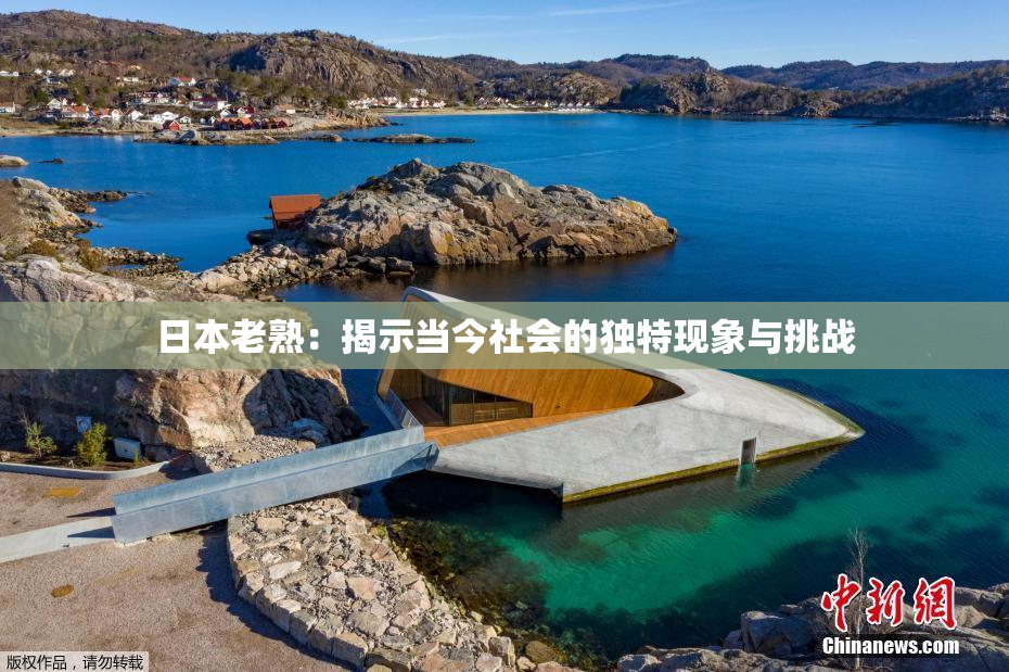 日本老熟：揭示当今社会的独特现象与挑战