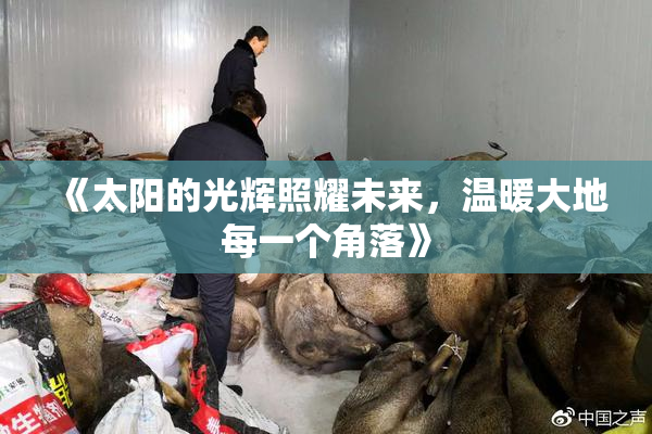 《太阳的光辉照耀未来，温暖大地每一个角落》