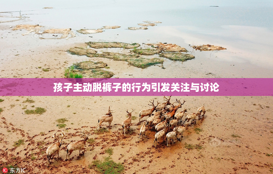 孩子主动脱裤子的行为引发关注与讨论