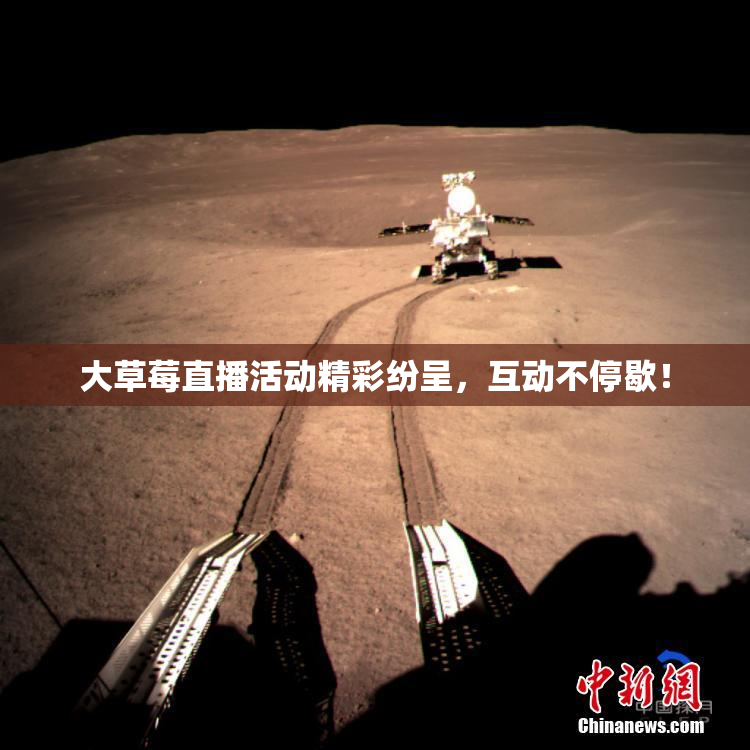大草莓直播活动精彩纷呈，互动不停歇！