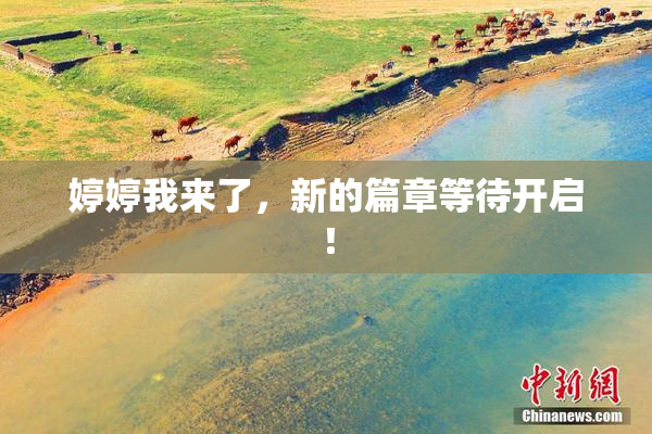 婷婷我来了，新的篇章等待开启！