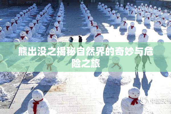 熊出没之揭秘自然界的奇妙与危险之旅