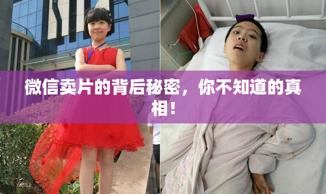 微信卖片的背后秘密，你不知道的真相！