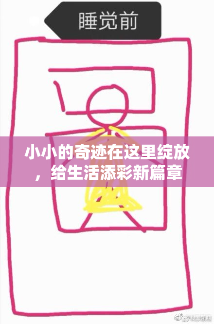 小小的奇迹在这里绽放，给生活添彩新篇章