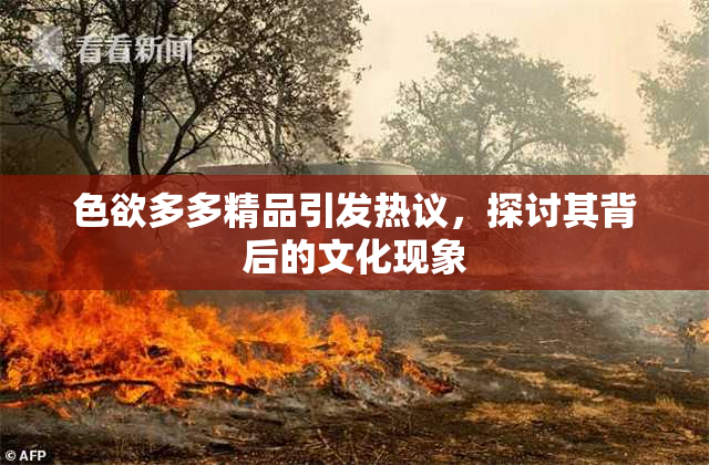 色欲多多精品引发热议，探讨其背后的文化现象