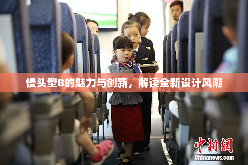 馒头型B的魅力与创新，解读全新设计风潮