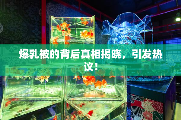 爆乳被的背后真相揭晓，引发热议！