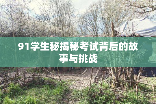 91学生秘揭秘考试背后的故事与挑战