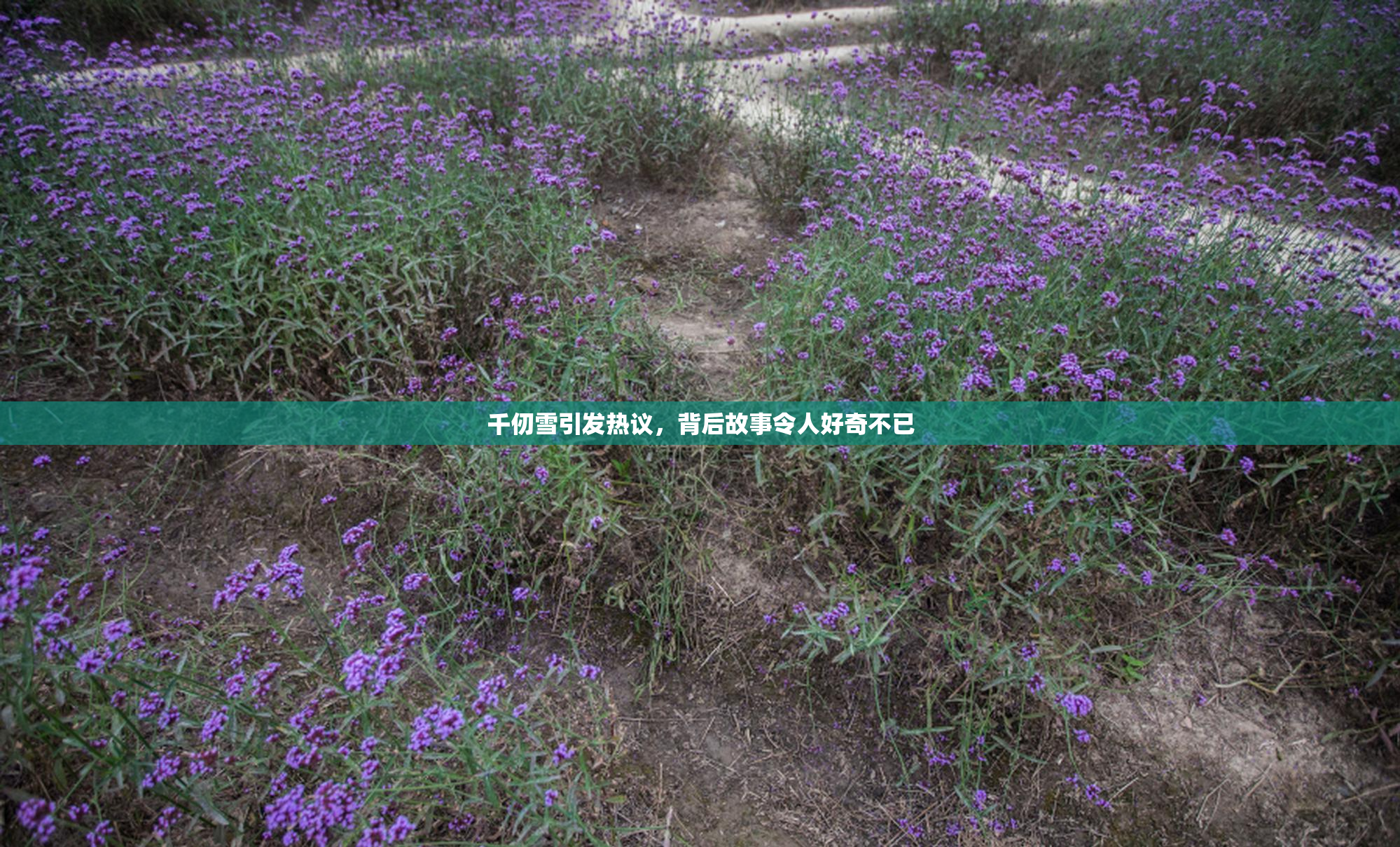 千仞雪引发热议，背后故事令人好奇不已