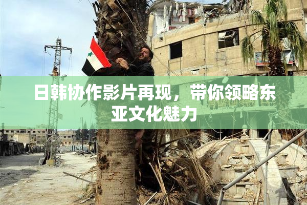日韩协作影片再现，带你领略东亚文化魅力