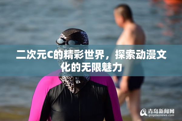 二次元C的精彩世界，探索动漫文化的无限魅力