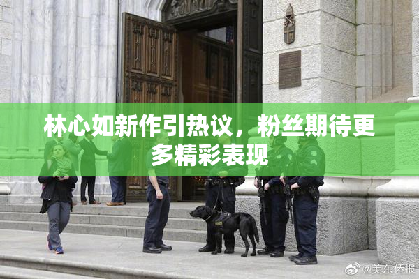 林心如新作引热议，粉丝期待更多精彩表现