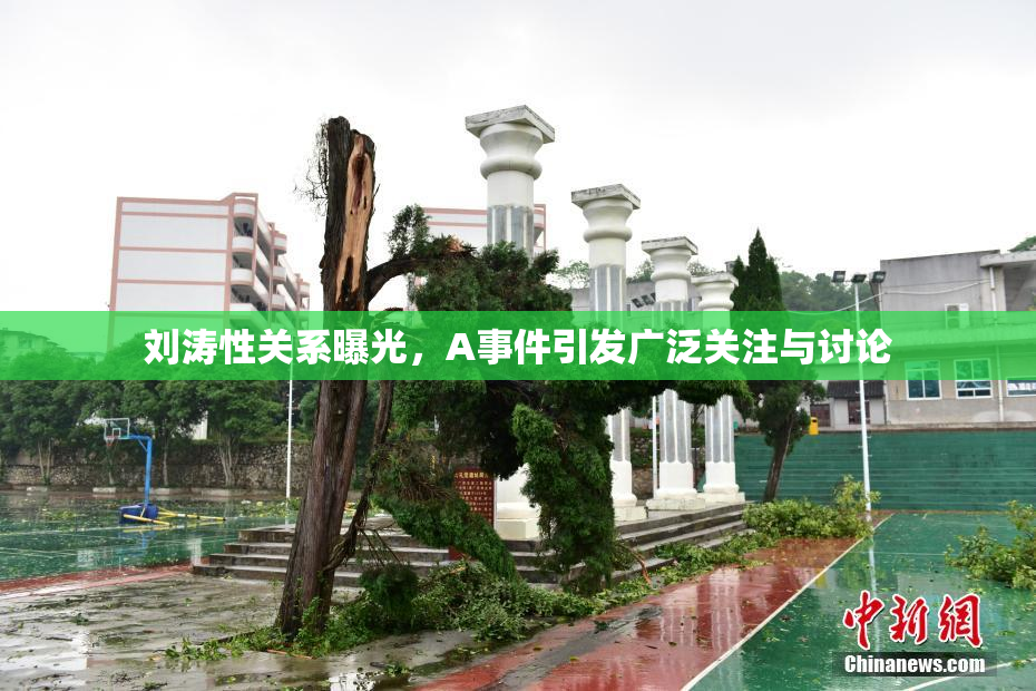 刘涛性关系曝光，A事件引发广泛关注与讨论
