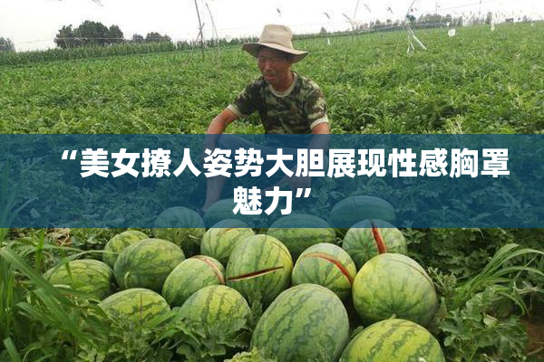 “美女撩人姿势大胆展现性感胸罩魅力”