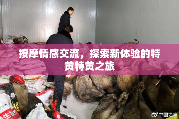 按摩情感交流，探索新体验的特黄特黄之旅