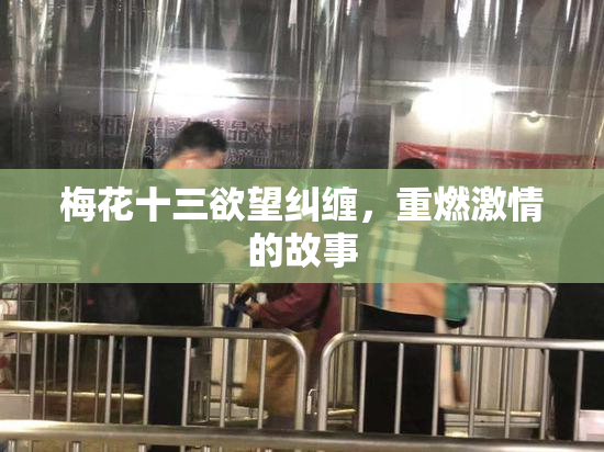 梅花十三欲望纠缠，重燃激情的故事