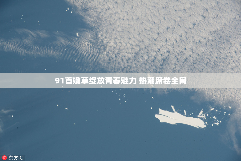 91首嫩草绽放青春魅力 热潮席卷全网
