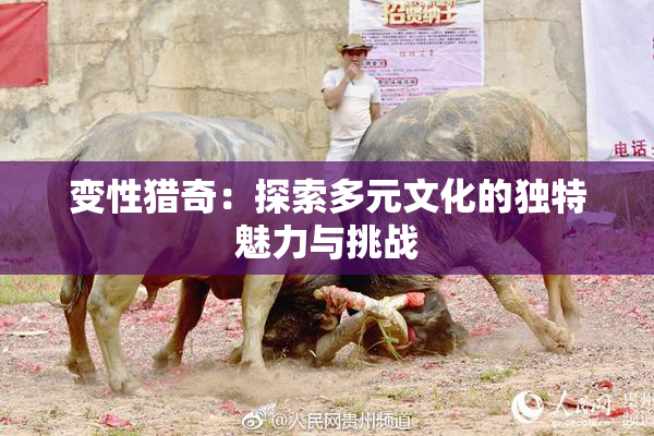 变性猎奇：探索多元文化的独特魅力与挑战