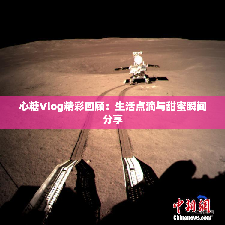 心糖Vlog精彩回顾：生活点滴与甜蜜瞬间分享