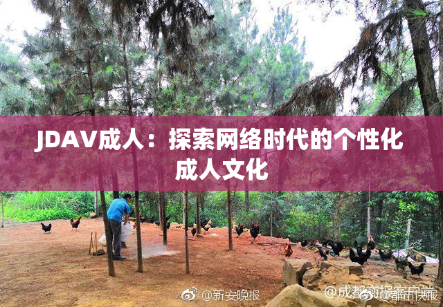 JDAV成人：探索网络时代的个性化成人文化